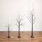 3ft. 5ft. 6ft. Artificial Brown Birch Trees with Warm White LED Lights - Set of 3